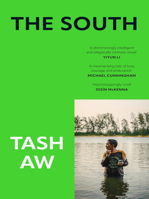cover image of The South